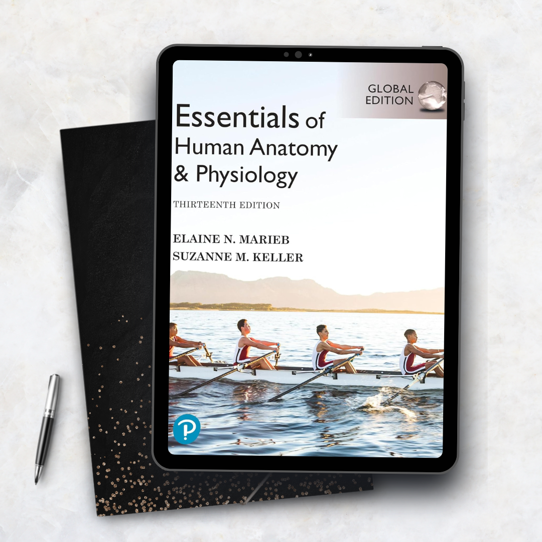Essentials of Human Anatomy & Physiology Global Edition 13th Edition