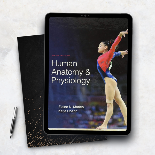 Marieb Human Anatomy and Physiology 11th Edition