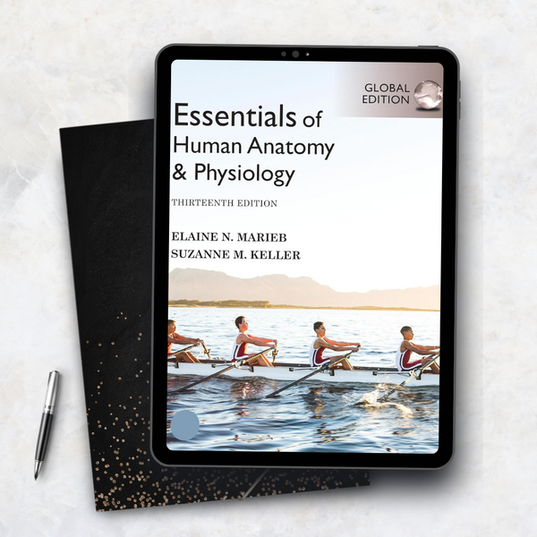 Essentials of Human Anatomy & Physiology Global Edition 13th Edition