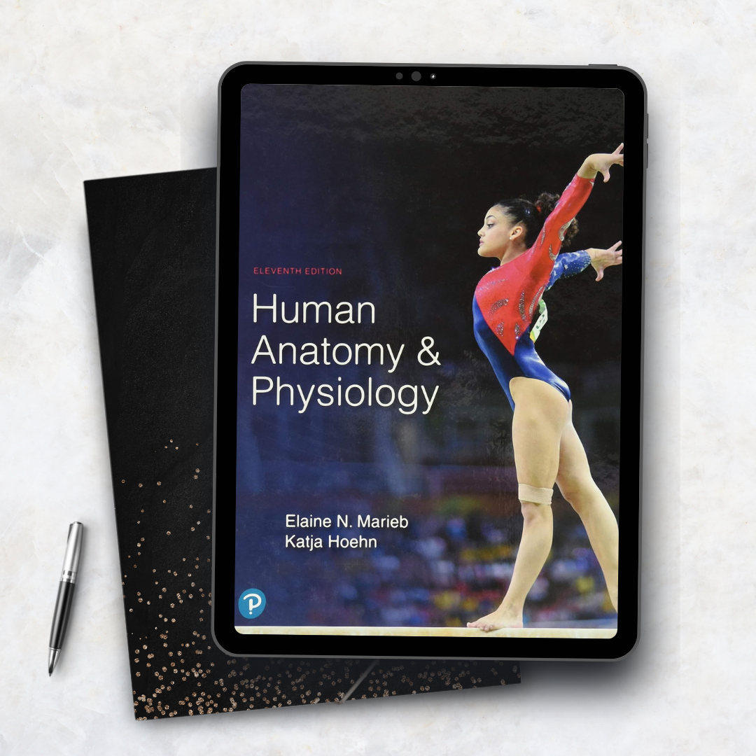 Marieb Human Anatomy and Physiology 11th Edition