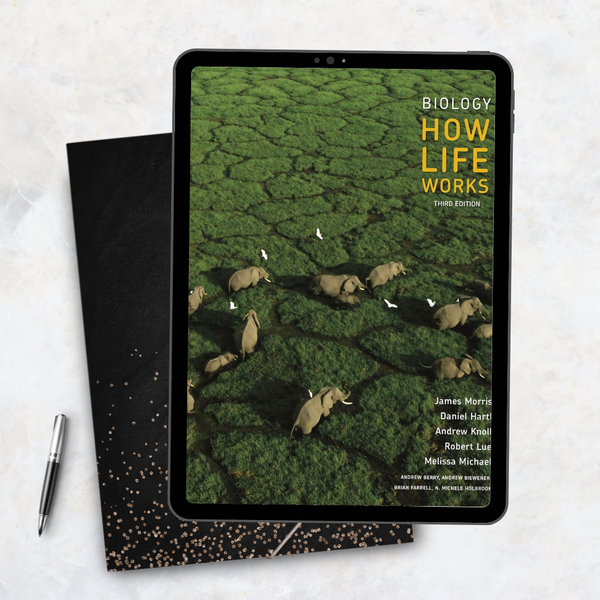 Biology How Life Works 3rd Edition