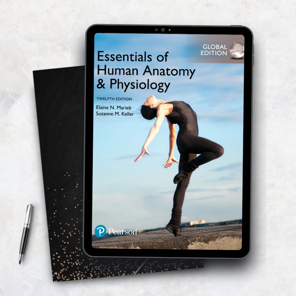 Essentials of Human Anatomy & Physiology, Global Edition Twelfth Edition